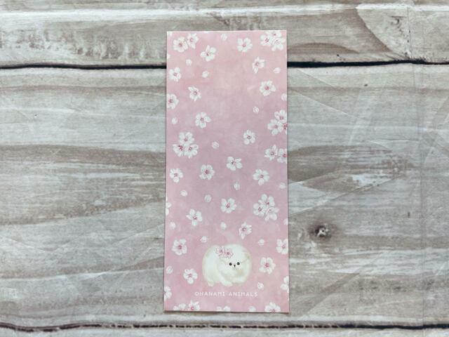 ピンクに真っ白のポメラニアンが映えてかわいい♪