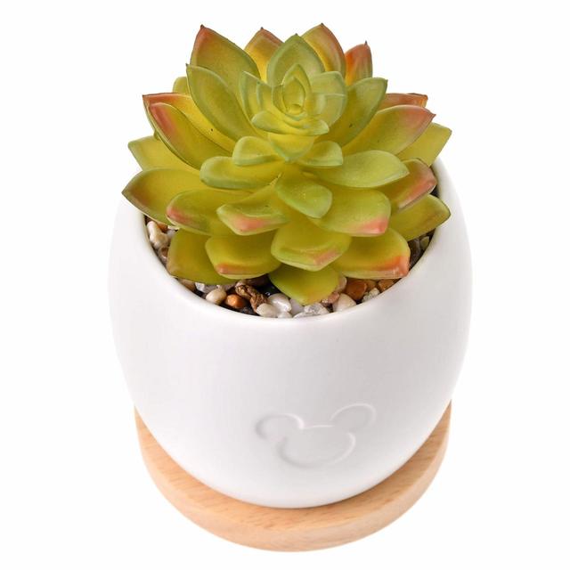 ミッキー フェイクグリーン Dwell well/3,080円