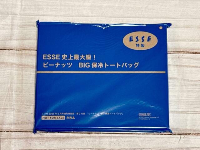付録はPEANUTSの「スヌーピー 超BIG保冷バッグ」
