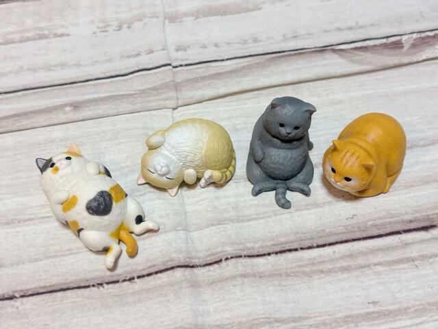 4匹を並べてみました。癒しの空間が爆誕！