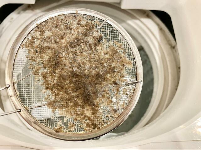 【洗濯槽を掃除してみた】こんな汚れがごっそり取れました…