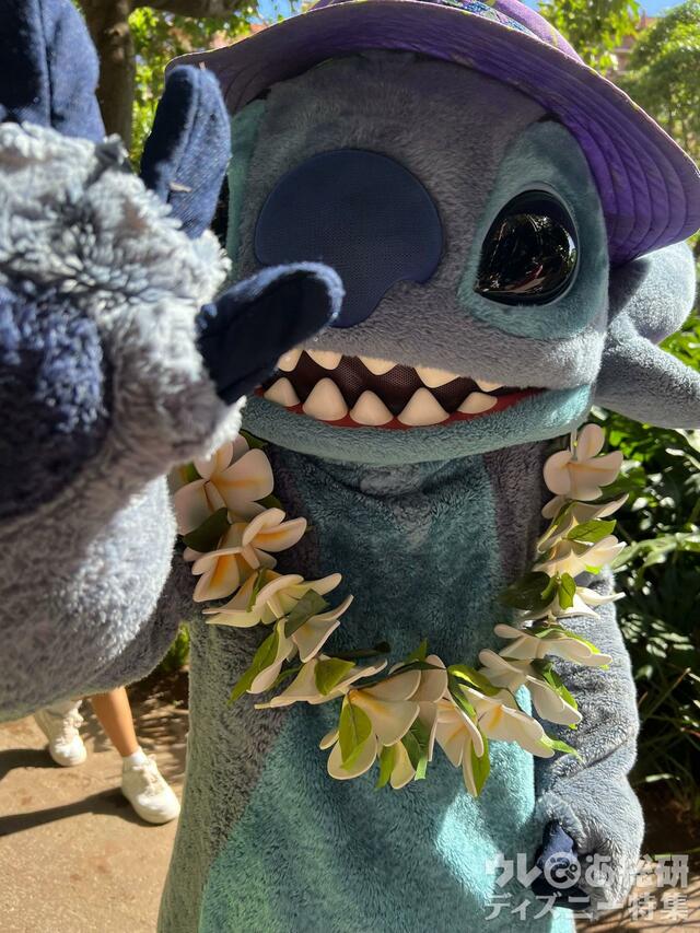 アウラニで会えるキャラクター