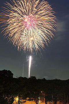 第30回朝霞市民まつり 彩夏祭 埼玉県 08 03 全国花火大会特集13 ウレぴあ総研 第30回朝霞市民まつり 彩夏祭 埼玉県 08 03 全国花火大会特集13 ウレぴあ総研