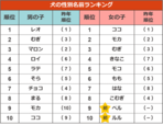 犬の性別名前ランキング【ペットの名前ランキング2023】