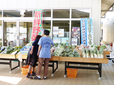 道の駅やちよ やちよ農業交流センター／野菜販売