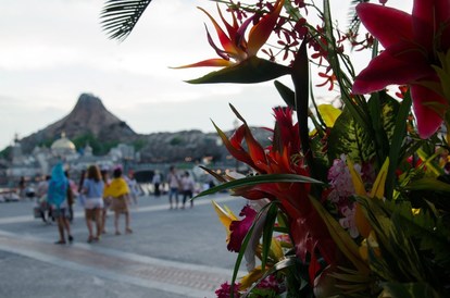 東京ディズニーリゾート こんなにお得 夏5ウィークデーパスポート 7つの活用方法 2 3 ディズニー特集 ウレぴあ総研 東京ディズニーリゾート こんなにお得 夏5ウィークデーパスポート 7つの活用方法 2 3 ディズニー特集 ウレぴあ総研