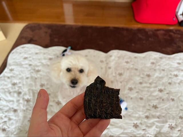 【Doggy Box エゾ鹿レバー】少し大きめかも