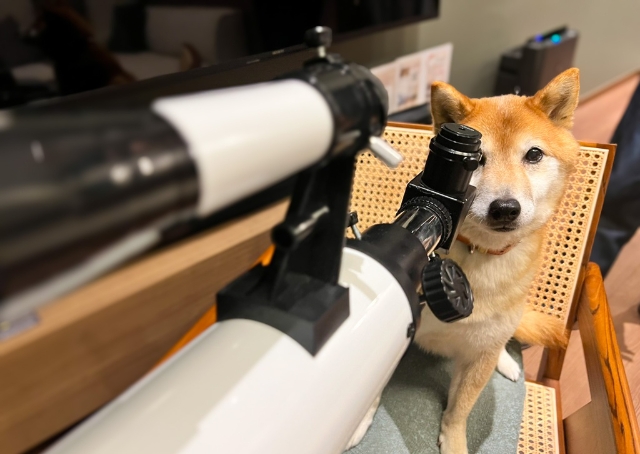 【Rakuten STAY FUJIMI TERRACE 箱根芦ノ湖】天体望遠鏡で星空観察も