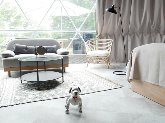 開放感のあるドーム型テント