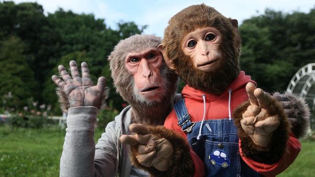 「さるかに合戦」裁判では、カニの母子を殺した罪で猿が裁かれる