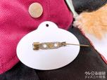100円ショップのブローチピンを貼っただけ