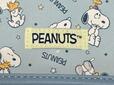 フロントには「PESNUTS」のロゴタグつき