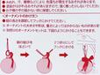 ヒモを半分に調節して飾ります