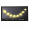 フランダー LEDガーランド クリップ Ariel in the Sea 3,300円