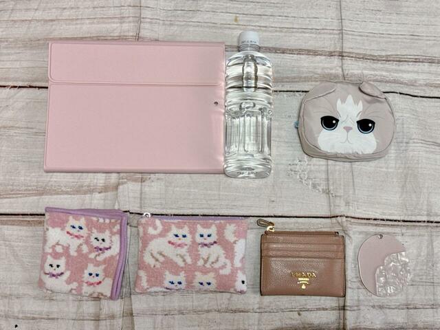 【カルディ ネコの日バッグ プレミアム／オリジナルバッグ】iPadやペットボトルなど、外出先で仕事をする際の荷物を入れてみると…⇒