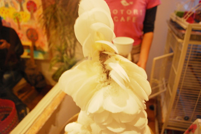 ことりカフェ/表参道店・ことりたち