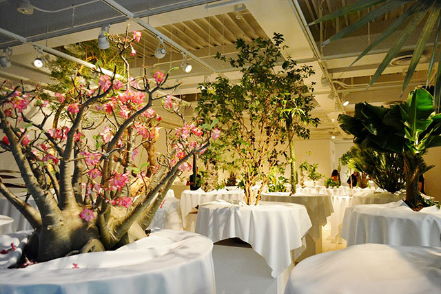 「ウルトラ植物博覧会」で展示されている植物たち