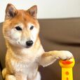 【自動発泡犬用ソープディスペンサ】愛犬も「えらいぞ」とディスペンサーを褒めていました