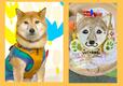 【Dog Lab Bubbie Boo 似顔絵ケーキ】送った写真を元に似顔絵を描いてくれます