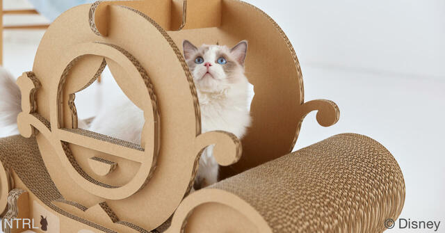 キャットソファ ディズニーシリーズ /シンデレラ 35,750円