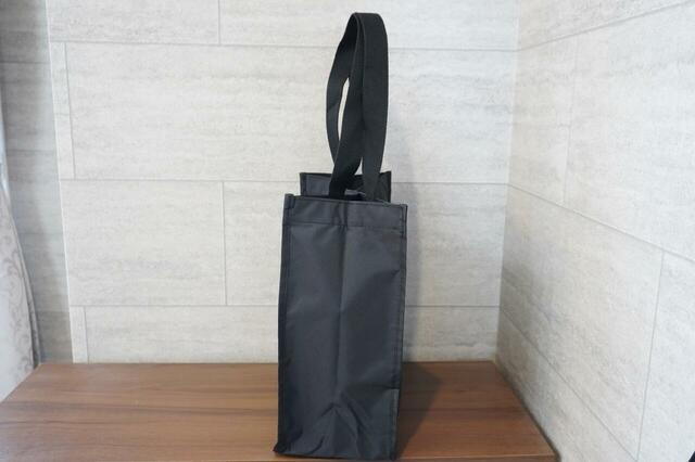 横から見たところ