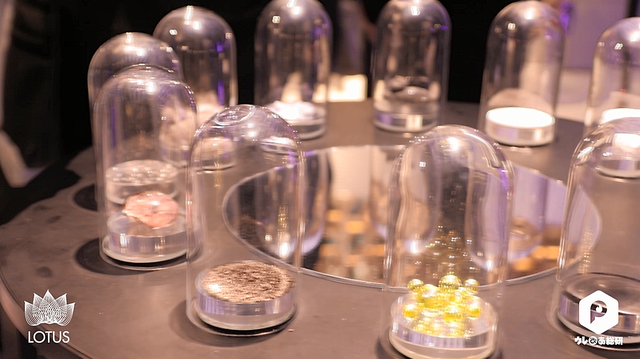 Journey on the Tongue