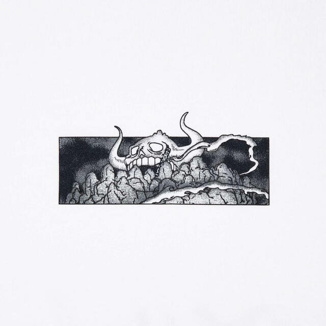 ユニクロ TVアニメ ワンピース 25th UT(グラフィックTシャツ)¥1,500