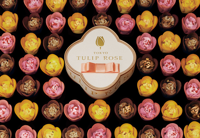 TOKYOチューリップローズ「チューリップローズ」