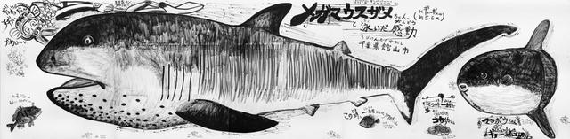 さかなクン「メガマウスザメちゃんと泳いだ感動 千葉県館山市」