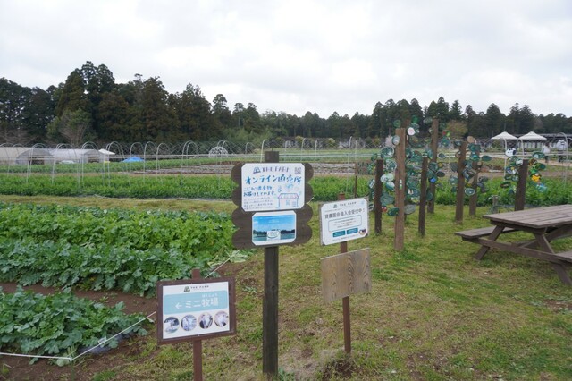 日本最大級の農園リゾート「THE FARM」