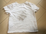 【カインズ CAINZ 抗菌 作業着用洗剤 消臭成分配合 本体 750g】子供が汚した白いTシャツに使ってみます