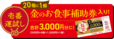 「壱番運試し」＜価格：2,500円（税込）＞【2,500円分のお食事補助券＆グッズが入った「ココイチ福袋2026」12月26日より店頭にて数量限定で販売開始！】