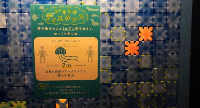 入口での感染症対策 ソーシャルディスタンス案内表示