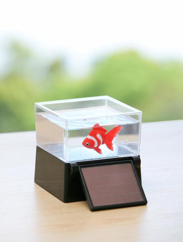 「ひかりとみずのカラクリ金魚」