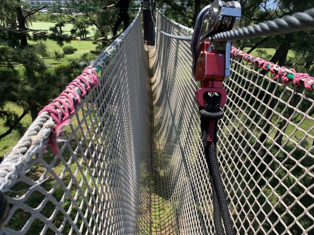 ここはネットが貼ってあるから安心と思ったら結構大変!