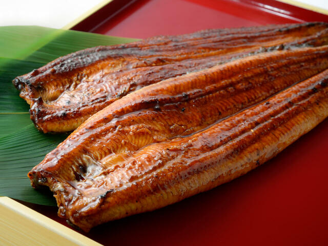 「国産うなぎ長蒲焼き」は、大サイズ1尾2,300円(税込価格)【角上魚類のうなぎ】