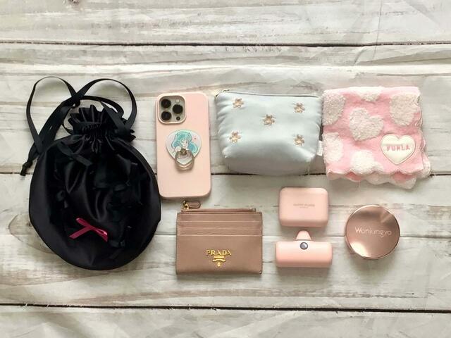 なんとこれだけのものが入りました！【STORY（ストーリィ）11月号増刊】付録：TSURU By MARIKO OIKAWAの自立型ミニバッグ