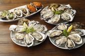 選べる3プラン！真牡蠣食べ放題