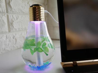 超絶かわいい【フランフラン】の卓上加湿器で花粉対策♪ 2,000円で