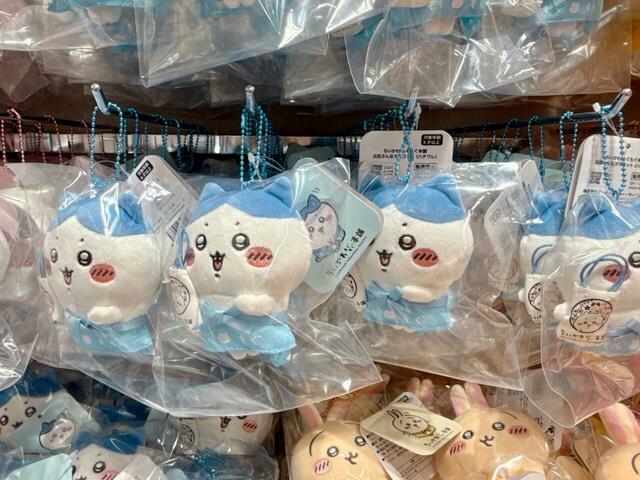 エプロン姿がなんともキュートなハチワレ♪