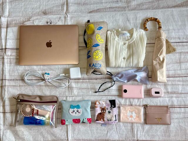 【カルディ　レモンバッグに入れた荷物】こんなにたくさん物が入りました！