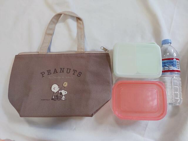 タッパ２つ＋ペットボトルが横に入った