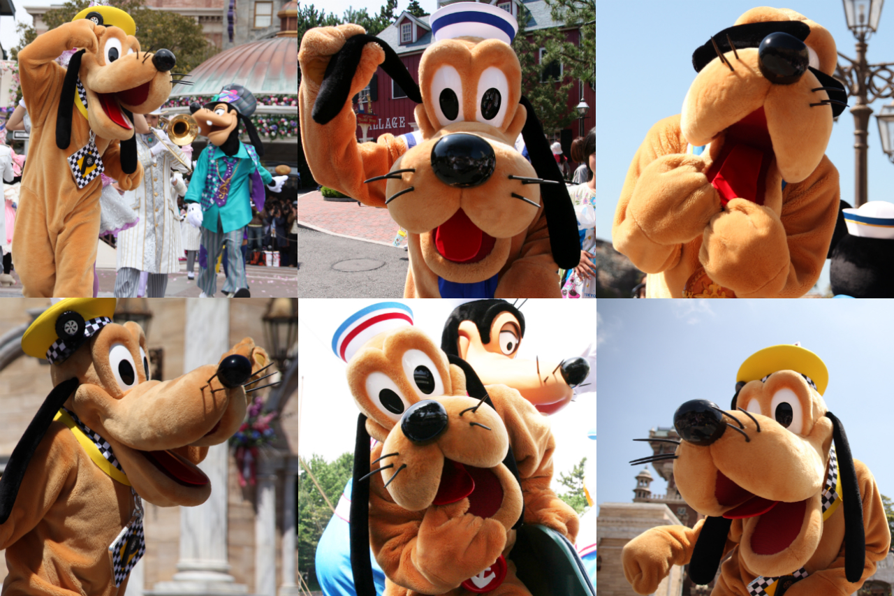 9/5はプルートの誕生日! 東京ディズニーリゾートでプルートに会える