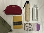 【UNIQLO：C　ミニショルダーバッグ】500mlペットボトル、折りたたみ傘、大きめのポーチ、ミニタオル、文庫本を入れても余裕がありました！