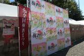 梅酒まつり