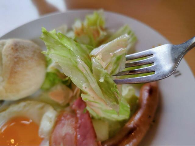 【ジョイフル エッグプレート】シャキッとしたレタスたっぷりのサラダ