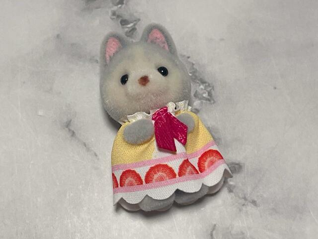 ケーキの断面図のようなお洋服を着ています♪