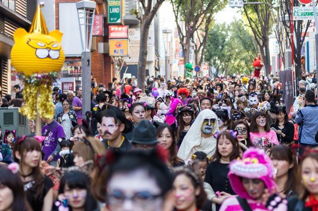 かわいい猫、イケメン猫…超凝った“猫コスプレ”