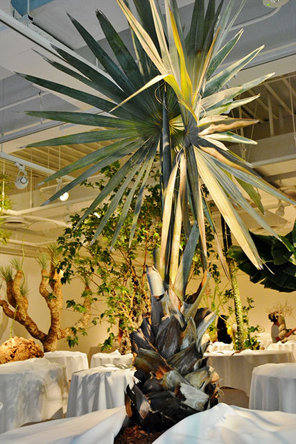 「ウルトラ植物博覧会」で展示されている植物たち