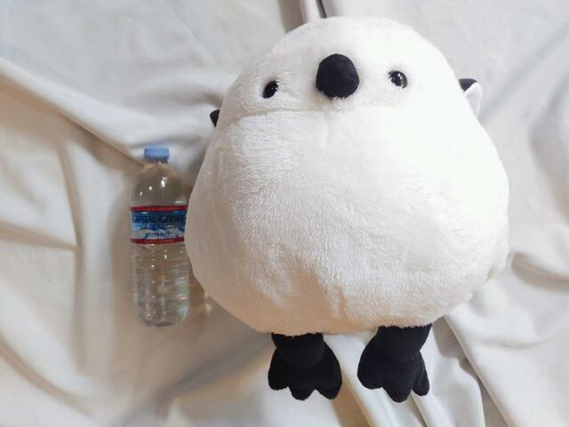 サイズ目安画像